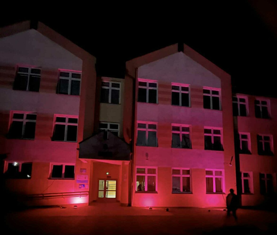 „Dzieciństwo bez Przemocy”