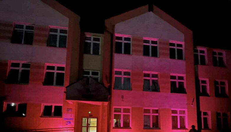 „Dzieciństwo bez Przemocy”