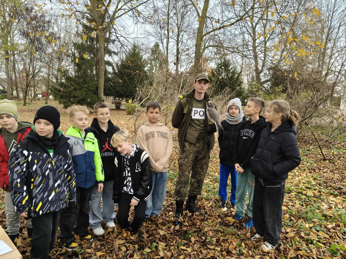 „Tropem Sokoła” – gra terenowa o sztuce sokolnictwa