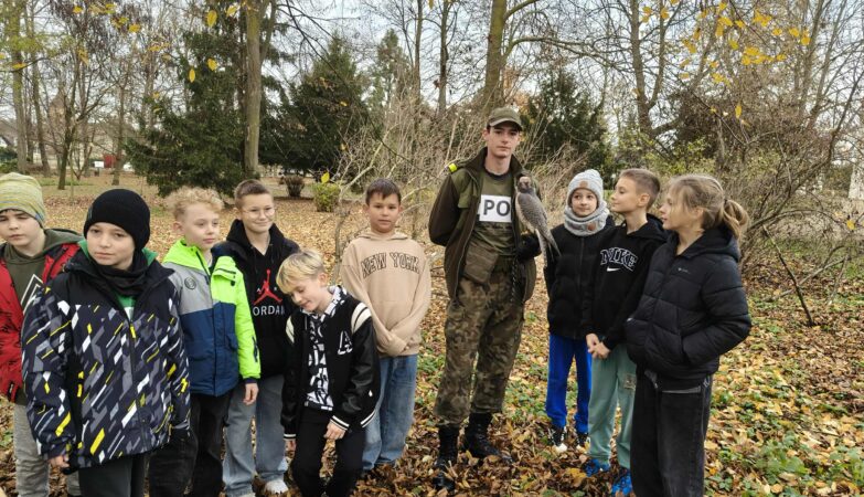 „Tropem Sokoła” – gra terenowa o sztuce sokolnictwa