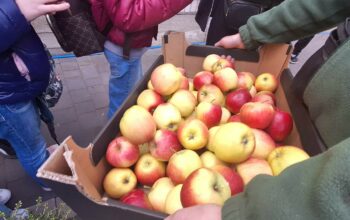 Uczniowie w gospodarstwie – edukacyjna wycieczka w ramach „Programu dla Szkół